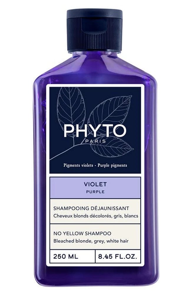 PHYTO PURPLE No Yellow Shampoo in None at Nordstrom, Size 8.45 Oz