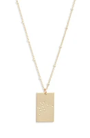 Set & Stones Zodiac Constellation Pendant Necklace in Gold - Aquarius at Nordstrom, Size 20