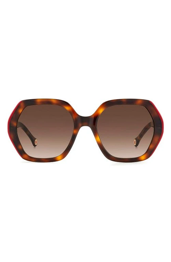 Carolina Herrera 55mm Gradient Square Sunglasses in Havana Red at Nordstrom