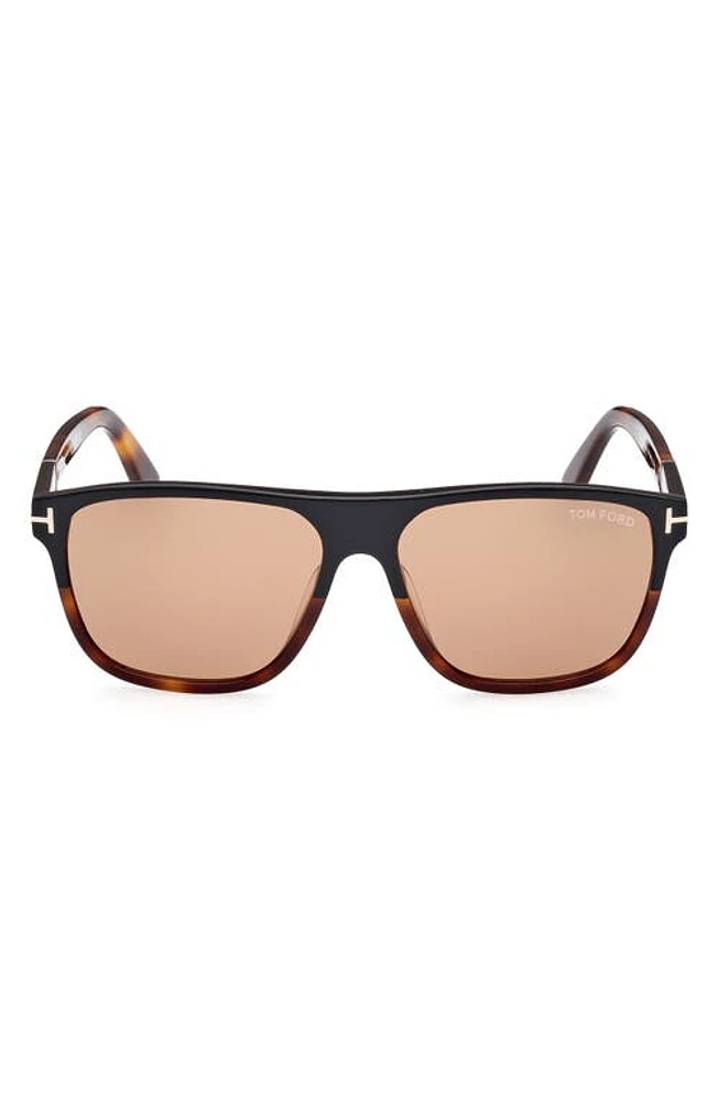 TOM FORD Frances 58mm Square Sunglasses in Black Blonde /Brown at Nordstrom