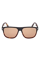 TOM FORD Frances 58mm Square Sunglasses in Black Blonde /Brown at Nordstrom