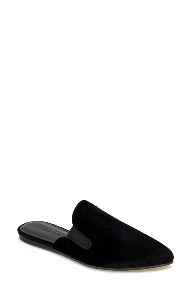 Splendid Liza Pointed Toe Mule Black Velvet at Nordstrom,