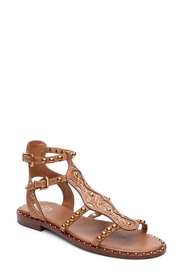 Ash Plaza Cage Sandal Cinnamon at Nordstrom,