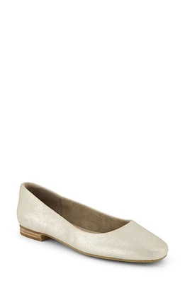 TOMS Briella Ballet Flat Silver at Nordstrom,