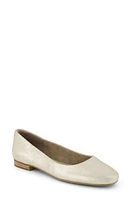 TOMS Briella Ballet Flat Silver at Nordstrom,