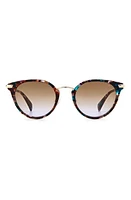 rag & bone 53mm Round Sunglasses in Z/dnupink Havana /Brown Viol at Nordstrom