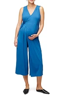 Nom Maternity Francesca Wide Leg Maternity/Nursing Jumpsuit at Nordstrom,