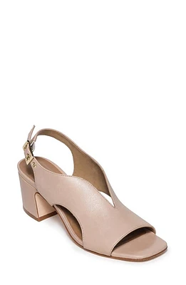 BERNARDO FOOTWEAR Bedford Slingback Pump at Nordstrom,