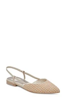 Dolce Vita Narah Pointed Toe Flat Raffia at Nordstrom,