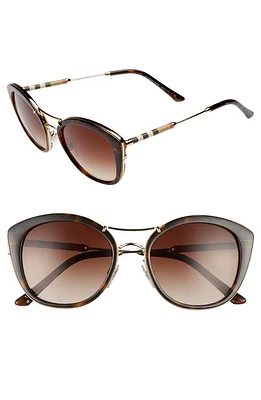 burberry 53mm Gradient Sunglasses in Dark Havana at Nordstrom