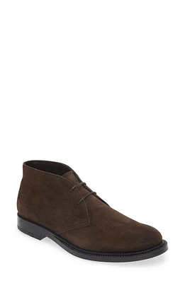 Tod's Gomma Chukka Boot Testa Moro at Nordstrom,