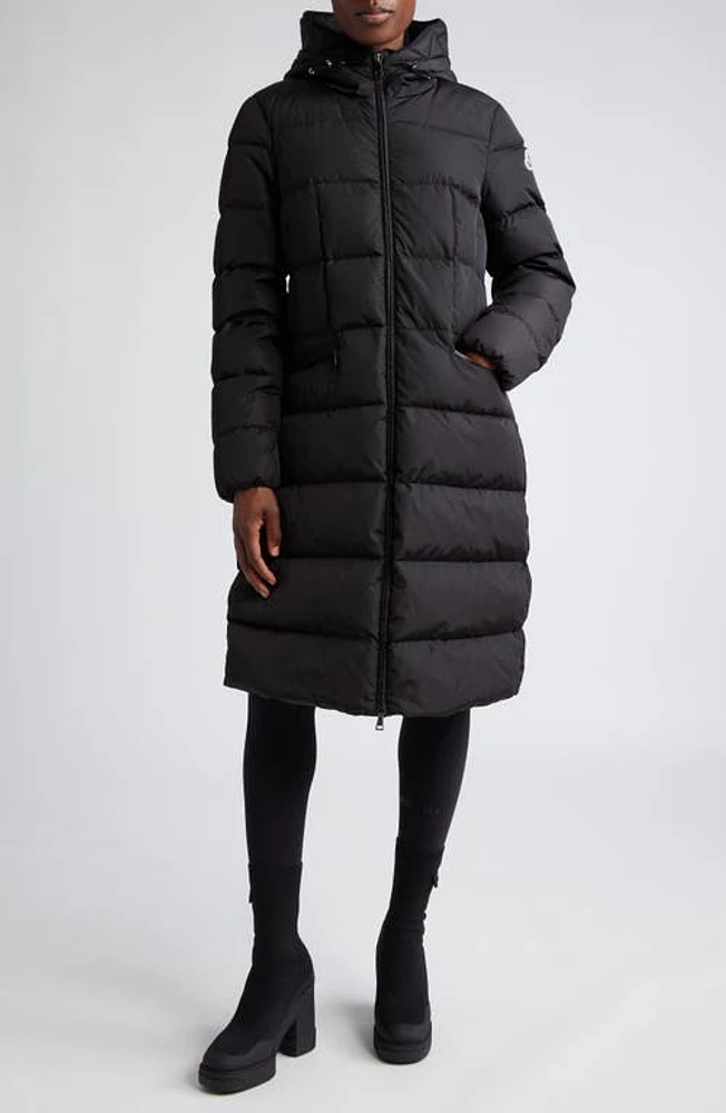 Moncler Avocette Hooded Down Coat at Nordstrom,