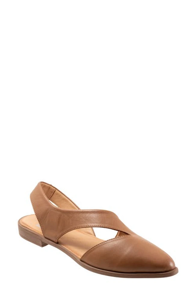 Bueno Bianca Slingback Pointed Toe Flat Walnut at Nordstrom,