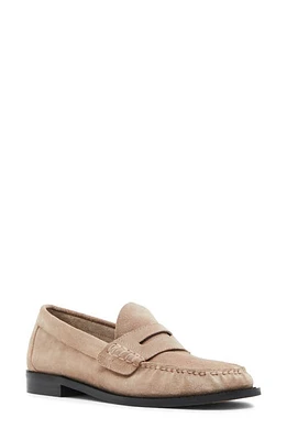 Steve Madden Kingston Penny Loafer at Nordstrom,