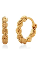 Monica Vinader Corda Huggie Hoop Earrings in Gold at Nordstrom