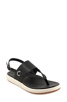 SoftWalk Joliet Slingback Sandal at Nordstrom