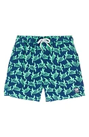 Tom & Teddy Kids' Turtle Print Swim Trunks Navy Green at Nordstrom,