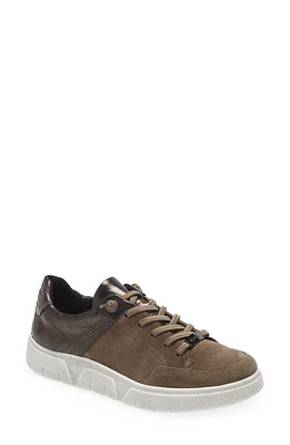 ara Regina Sneaker in Taiga Velour /Mercury at Nordstrom, Size 6