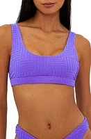 Beach Riot Peyton Ribbed Bikini Top Ultra Violet at Nordstrom,