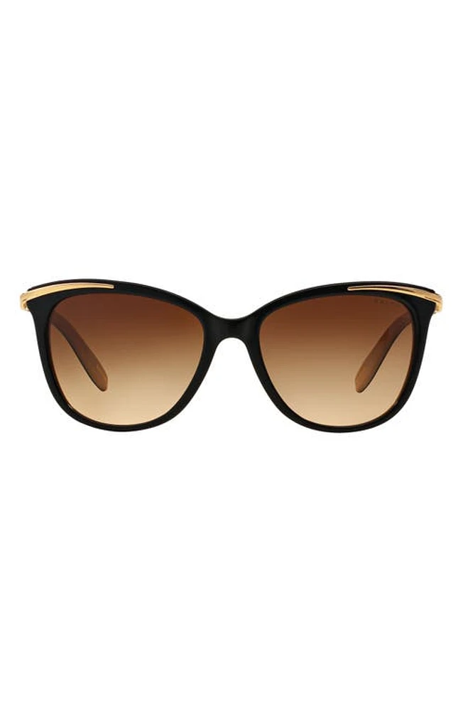 RALPH by Ralph Lauren 54mm Gradient Cat Eye Sunglasses in Blacktan at Nordstrom