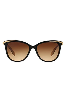 RALPH by Ralph Lauren 54mm Gradient Cat Eye Sunglasses in Blacktan at Nordstrom