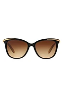 RALPH by Ralph Lauren 54mm Gradient Cat Eye Sunglasses in Blacktan at Nordstrom