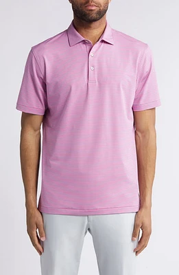 Peter Millar Hales Performance Jersey Polo at Nordstrom,