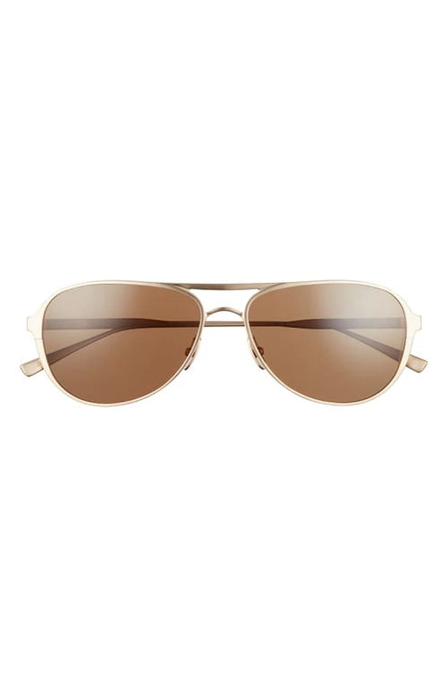 SALT. Barrett 60mm Polarized Aviator Sunglasses in Brushed Honey Gold/Brown at Nordstrom