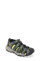 KEEN Kids' Newport H2 Water Friendly Sandal Sea Moss/Steel Grey at Nordstrom, M