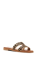 Steve Madden Hazel Genuine Calf Hair Sandal Leopard at Nordstrom,