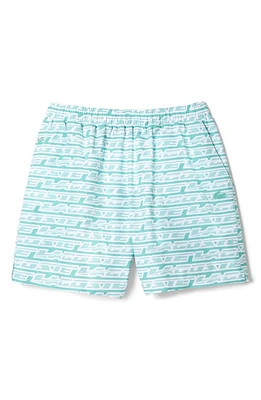 Lacoste Logo Print Cotton Swim Trunks at Nordstrom,