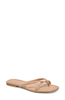 Dolce Vita Lucca Flip Flop at Nordstrom,