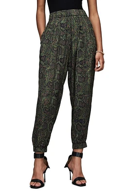 AllSaints Lila Tamora Snake Print Tapered Pants in Khaki Green at Nordstrom, Size 2 Us