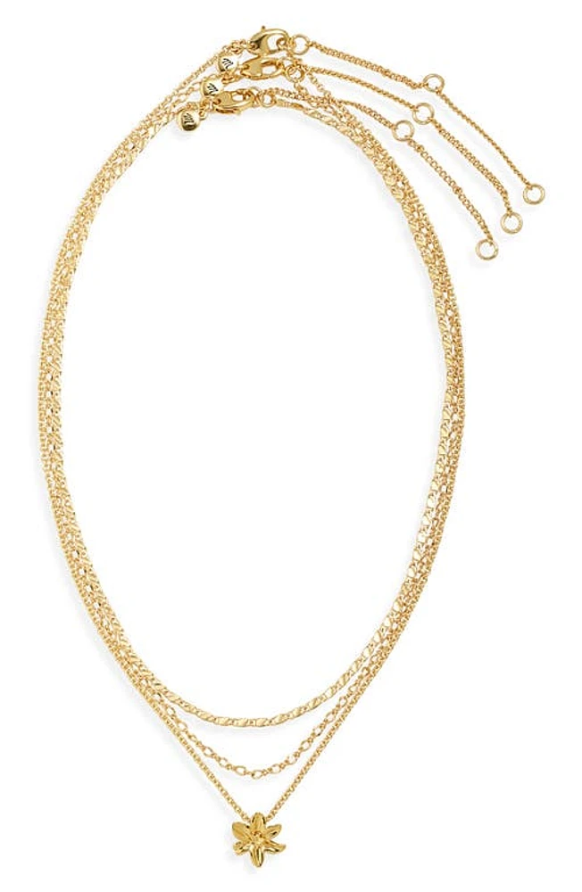 Madewell Set of 3 Dainty Flower Pendant & Chain Necklaces in Vintage Gold at Nordstrom