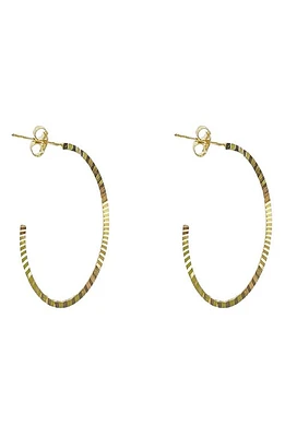 Argento Vivo Sterling Silver Diamond Cut Oval Hoop Earrings in Gold at Nordstrom