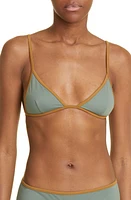 Paloma Wool Leiti Triangle Bikini Top at Nordstrom,