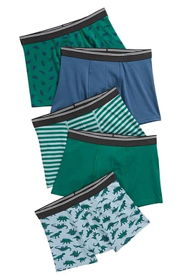 Nordstrom Kids' Assorted 5-Pack Boxer Briefs Pack at Nordstrom,