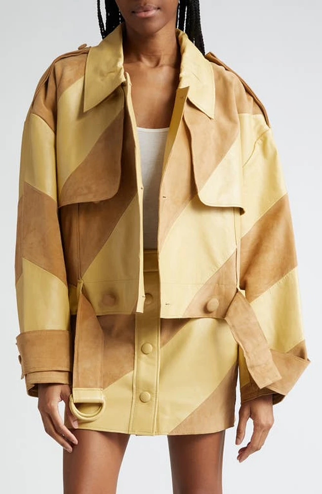 Stand Studio Blossom Leather & Suede Panel Moto Jacket Honey at Nordstrom, Us