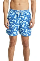 Tom & Teddy Whale Print Swim Trunks Navy Aqua at Nordstrom,