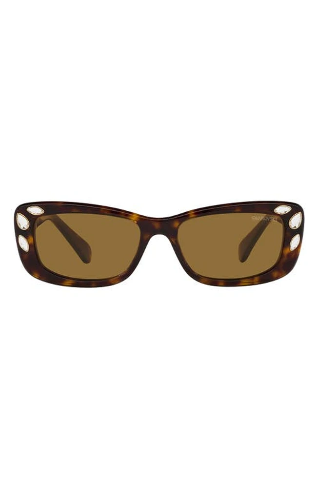 Swarovski 54mm Pillow Sunglasses in Dk Havana at Nordstrom