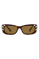 Swarovski 54mm Pillow Sunglasses in Dk Havana at Nordstrom