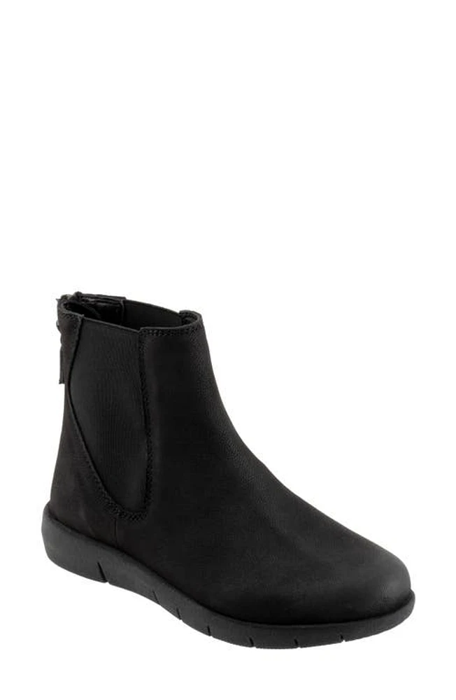 SoftWalk Albany Chelsea Boot Black at Nordstrom,