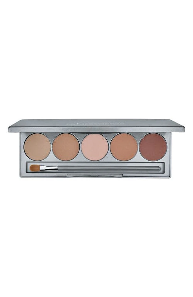 Colorescience Mineral Corrector Palette SPF 20 in Light To Medium at Nordstrom