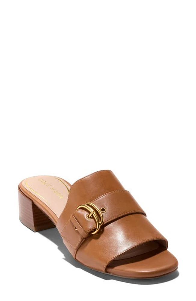 Cole Haan Crosby Slide Sandal Dark Caramel Leather at Nordstrom,