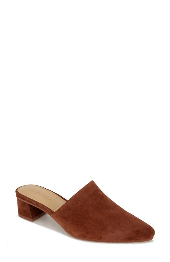 Splendid Lorelei Mule Rust at Nordstrom,