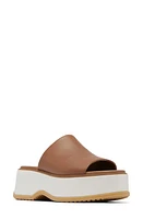 SOREL Dayspring Platform Slide Sandal at Nordstrom,