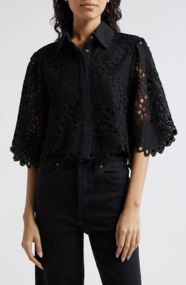 Ramy Brook Myrtle Lace Scallop Shirt Black at Nordstrom,