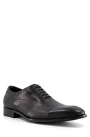 Dune London Secrecy Oxford Black at Nordstrom,