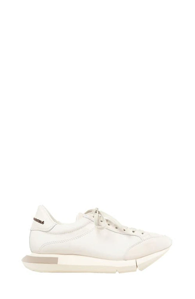 Paloma Barcelo Lisieux Sneaker White/Gesso-Taupe at Nordstrom,