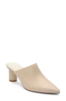 Sanctuary Swag Pointed Toe Mule at Nordstrom,